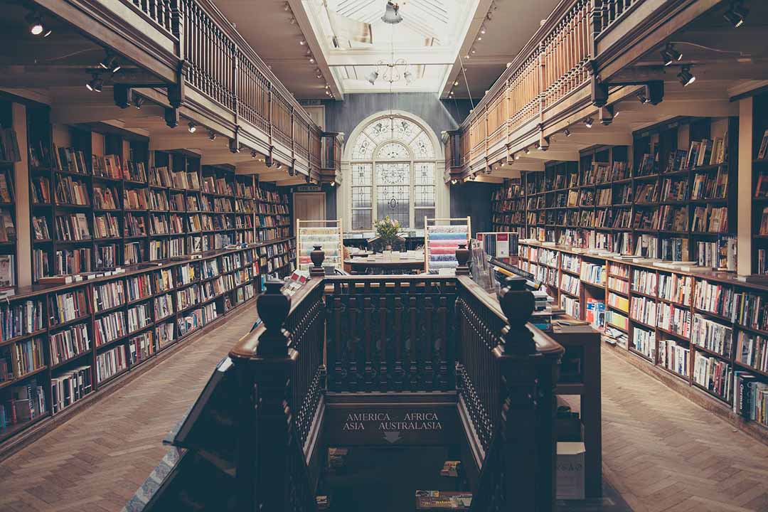 Read more about the article Lorem Ipsum